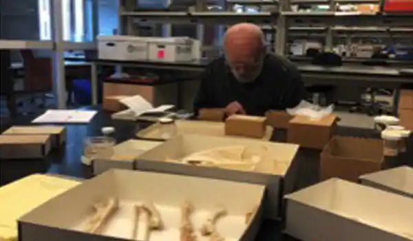 Zooarchaeological Lab
