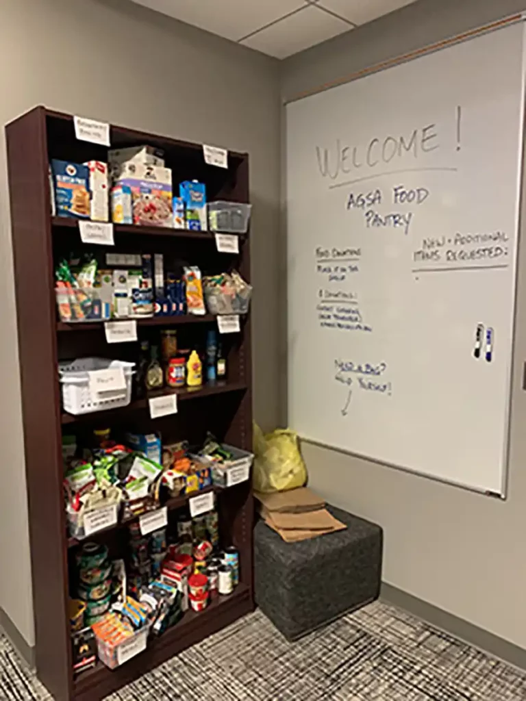 Image of the AGSA food pantry: A bookcase with food items free for anyone who needs them.