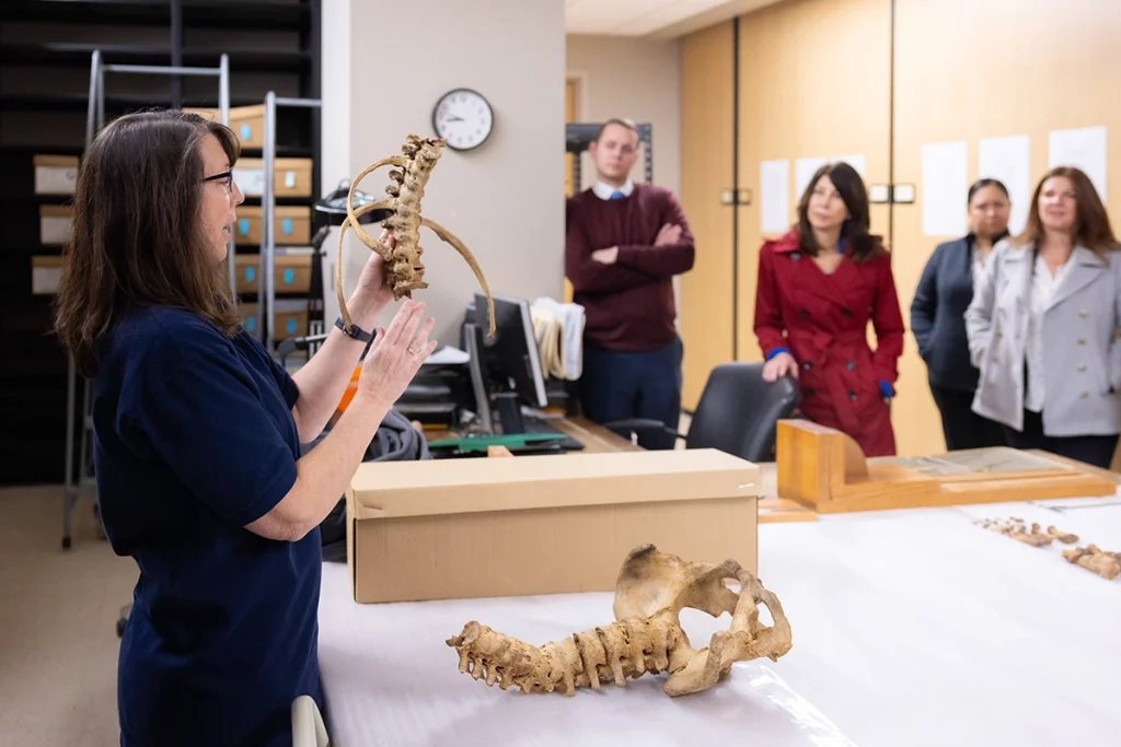 Lab demonstration with bones from NIJ campus visit. Photo by Steven Bridges.