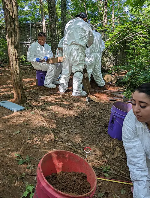 Researchers in white suits investigating soil