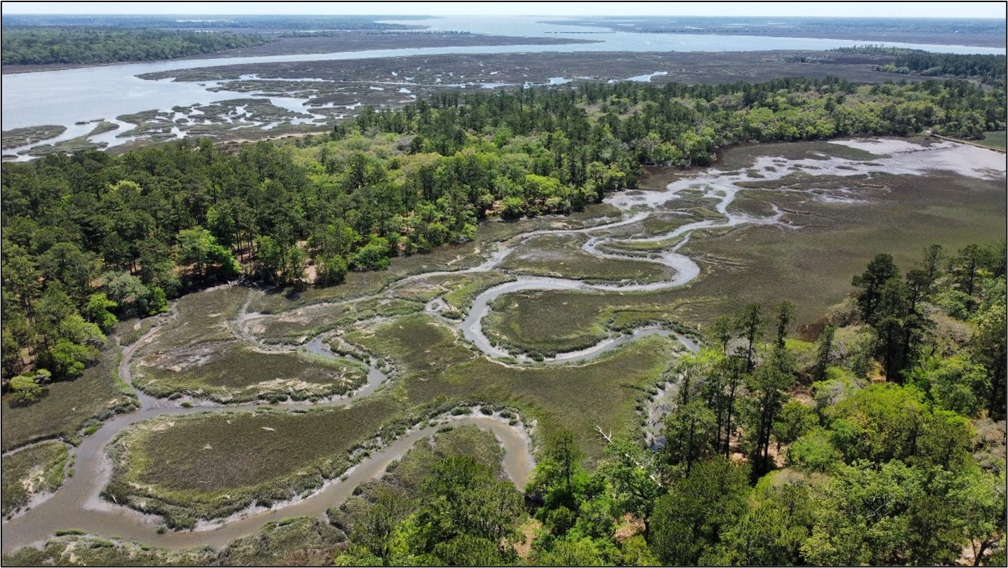 A river snakes through a body of trees. 